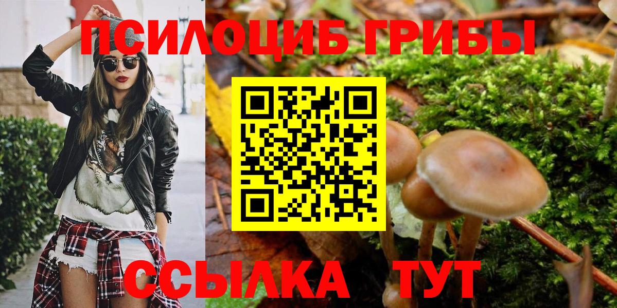Галлюциногенные грибы Magic Shrooms Елец